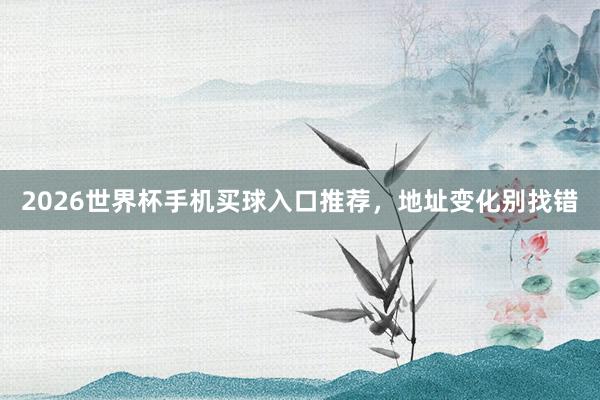 2026世界杯手机买球入口推荐，地址变化别找错