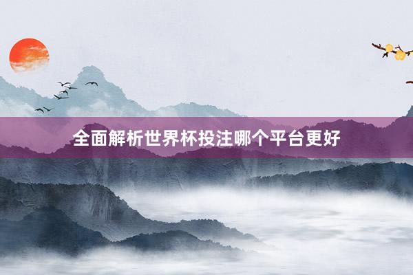 全面解析世界杯投注哪个平台更好